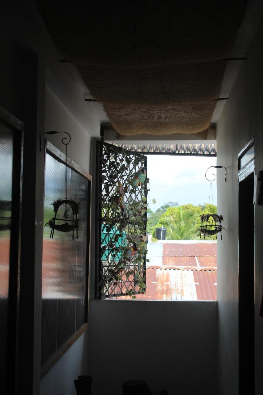 Hotel Gavas Amazonas Leticia Ngoại thất bức ảnh